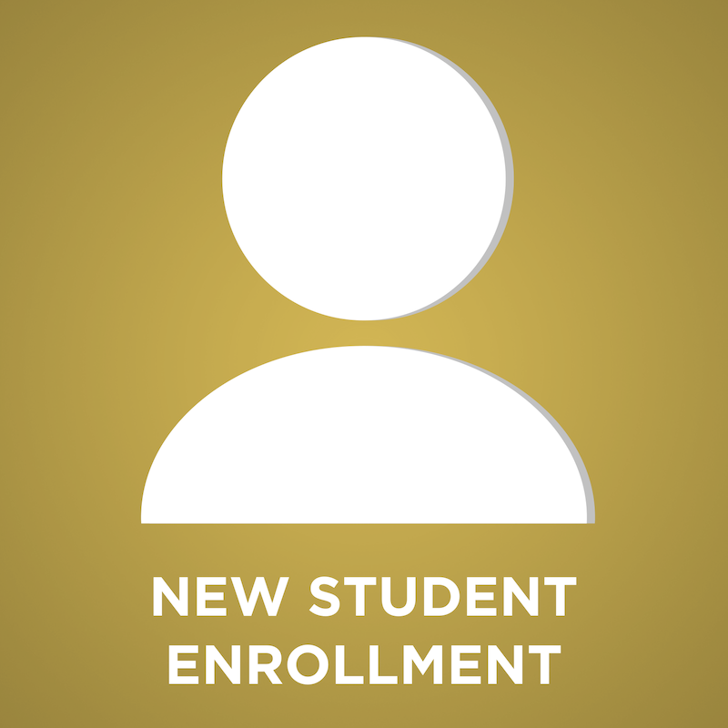 New Student Enrollment 